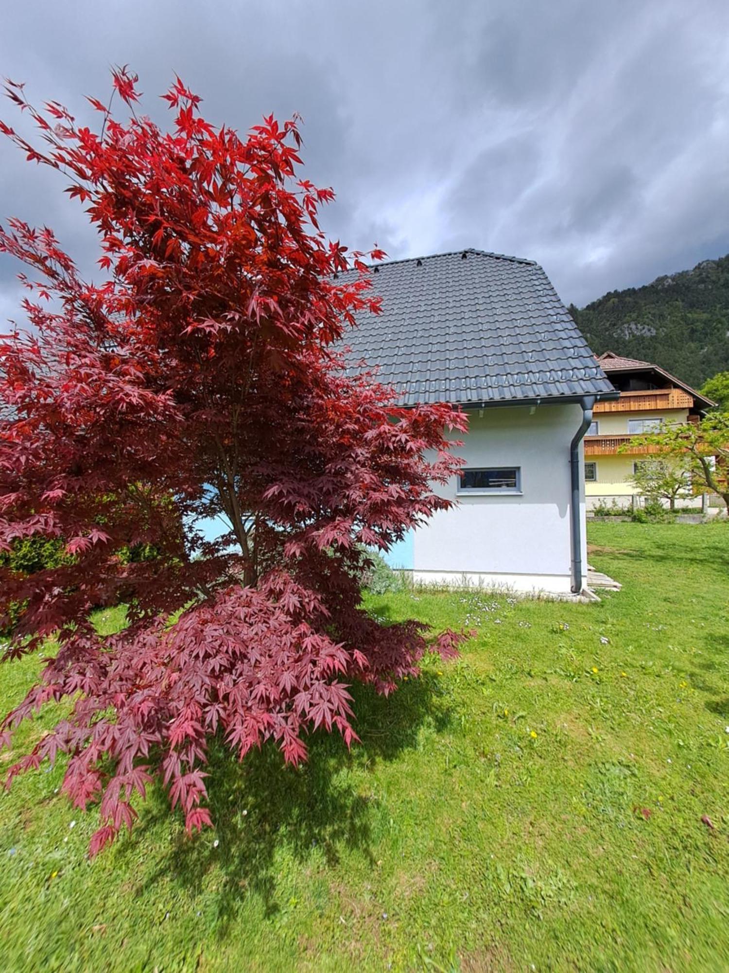 Bella Apartment Zirovnica Buitenkant foto