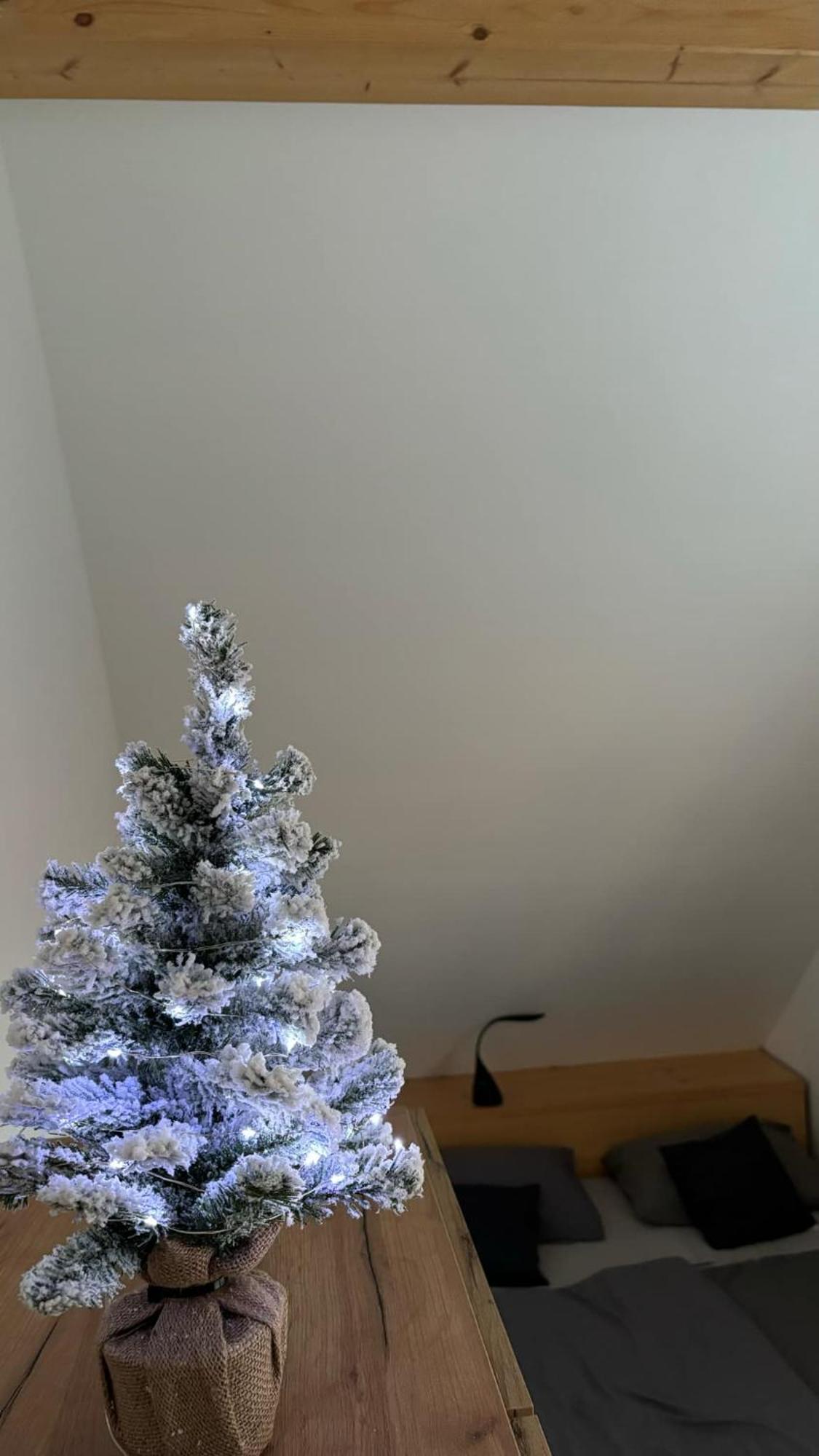 Bella Apartment Zirovnica Buitenkant foto